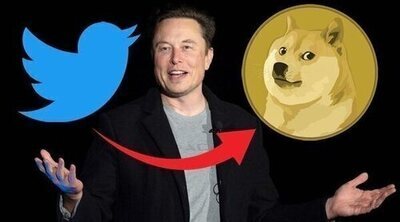 Elon Musk cambia el pájaro de Twitter por el perro de Dogecoin y sube el valor de la criptomoneda