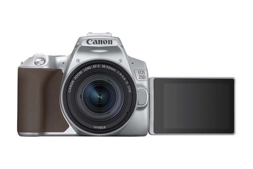 La aplicación Canon Camera Connect permite realizar fotografías a distancia desde un dispositivo inteligente.